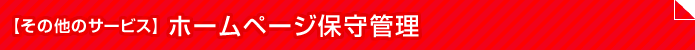 その他のサービス:ホームページ保守管理
